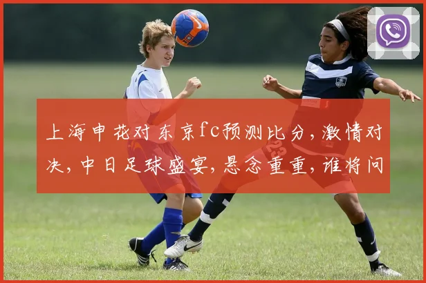 上海申花对东京fc预测比分,激情对决,中日足球盛宴,悬念重重,谁将问鼎