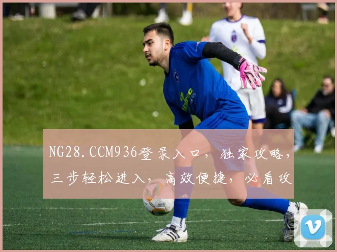 NG28.CCM936登录入口，独家攻略，三步轻松进入，高效便捷，必看攻略，三重福利等你来