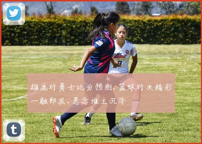 雄鹿对勇士比分预测,篮球对决精彩一触即发,悬念谁主沉浮