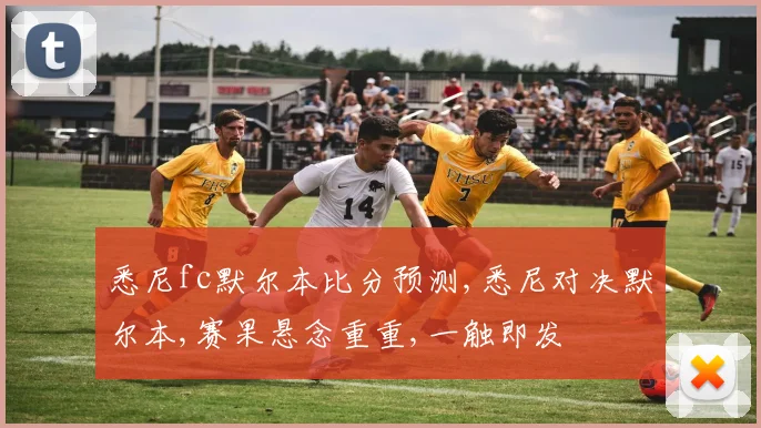 悉尼fc默尔本比分预测,悉尼对决默尔本,赛果悬念重重,一触即发